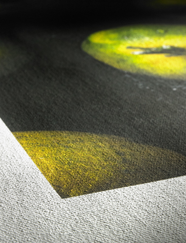 Hahnemühle Canvas Artist