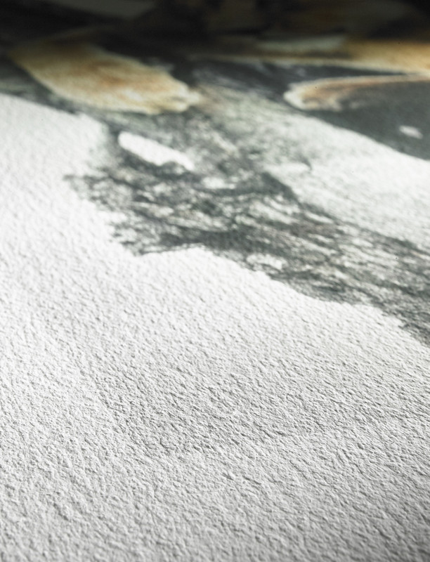 Hahnemühle Digital FineArt German Etching