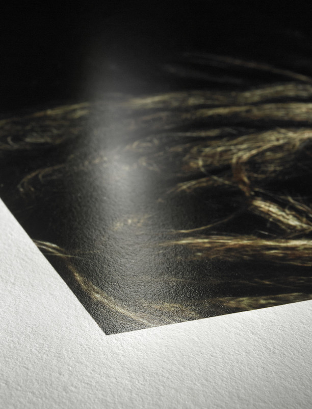 Hahnemühle Photo Rag Baryta